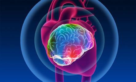 Does your heart know your future? Check this mind boggling research!