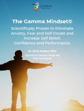 Gamma Mindset pdf