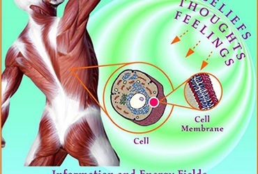 How Your Thoughts and Feelings Travel Around Your Body…